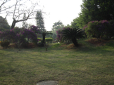 IMG_3152.jpg
